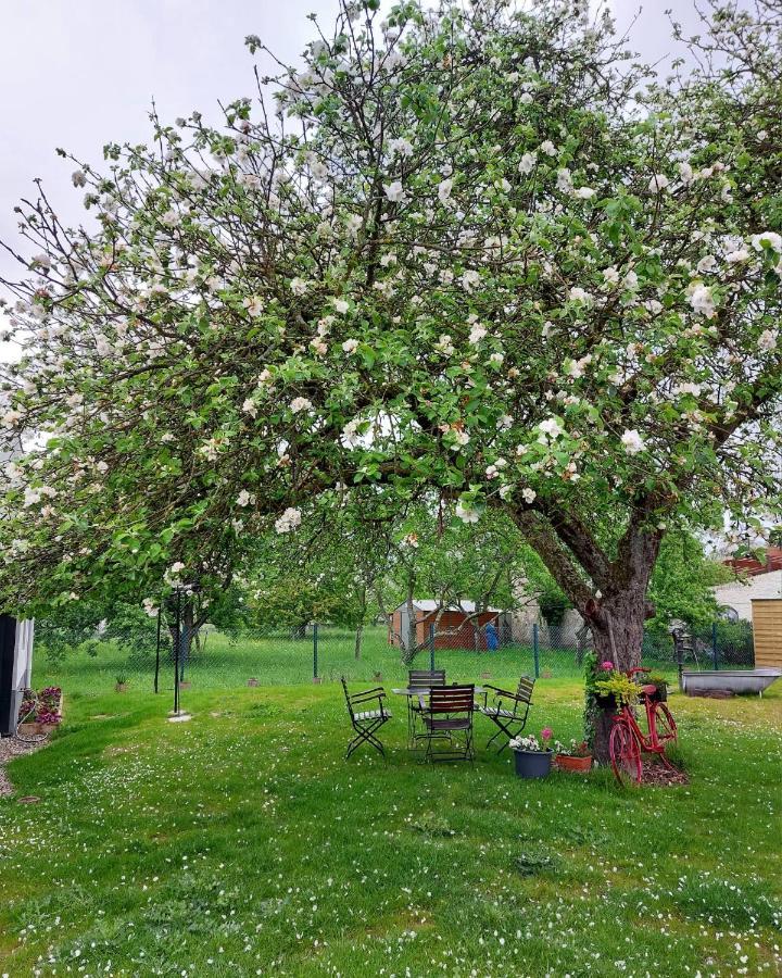 Gite Au Pommier Fleuri Et Son "Appart" Independant Hotel Drusenheim Luaran gambar